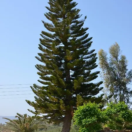 公寓 Helona Kamária