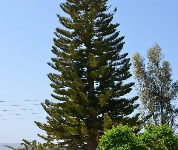 Appartement Helona Kamária